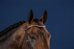 Dyon Silver Clincher V-Shaped Browband U