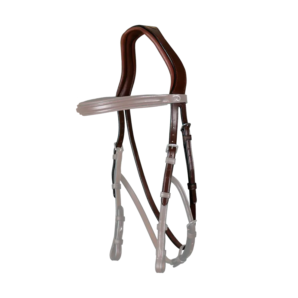 Dyon Hackamore Headpiece N