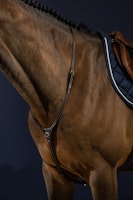 Dyon Yoke Halsrem för martingal D