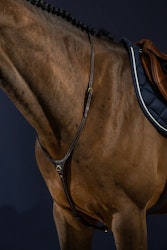 Dyon Yoke Halsrem för martingal D