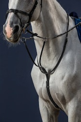 Dyon Martingal N