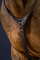 Dyon Yoke Halsrem för martingal D