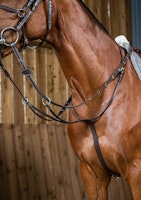 Dyon martingal W