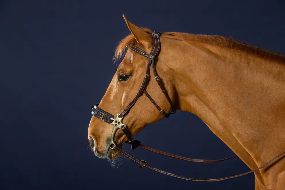 Dyon Träns för hackamore D
