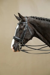 Dyon Kandar bred nosgrimma W