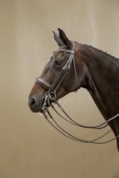 Dyon Kandar bred nosgrimma W