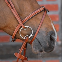 Dynamic RS Multi Ring 16 mm double jointed - Sensogan