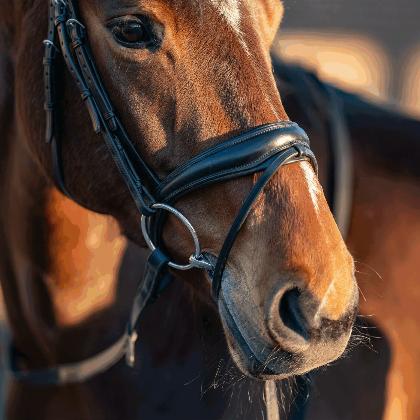 TURNADO Loose Ring snaffle 14 mm - Stainless steel