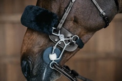 Dyon Hackamore- eller kombinationsbettsskydd