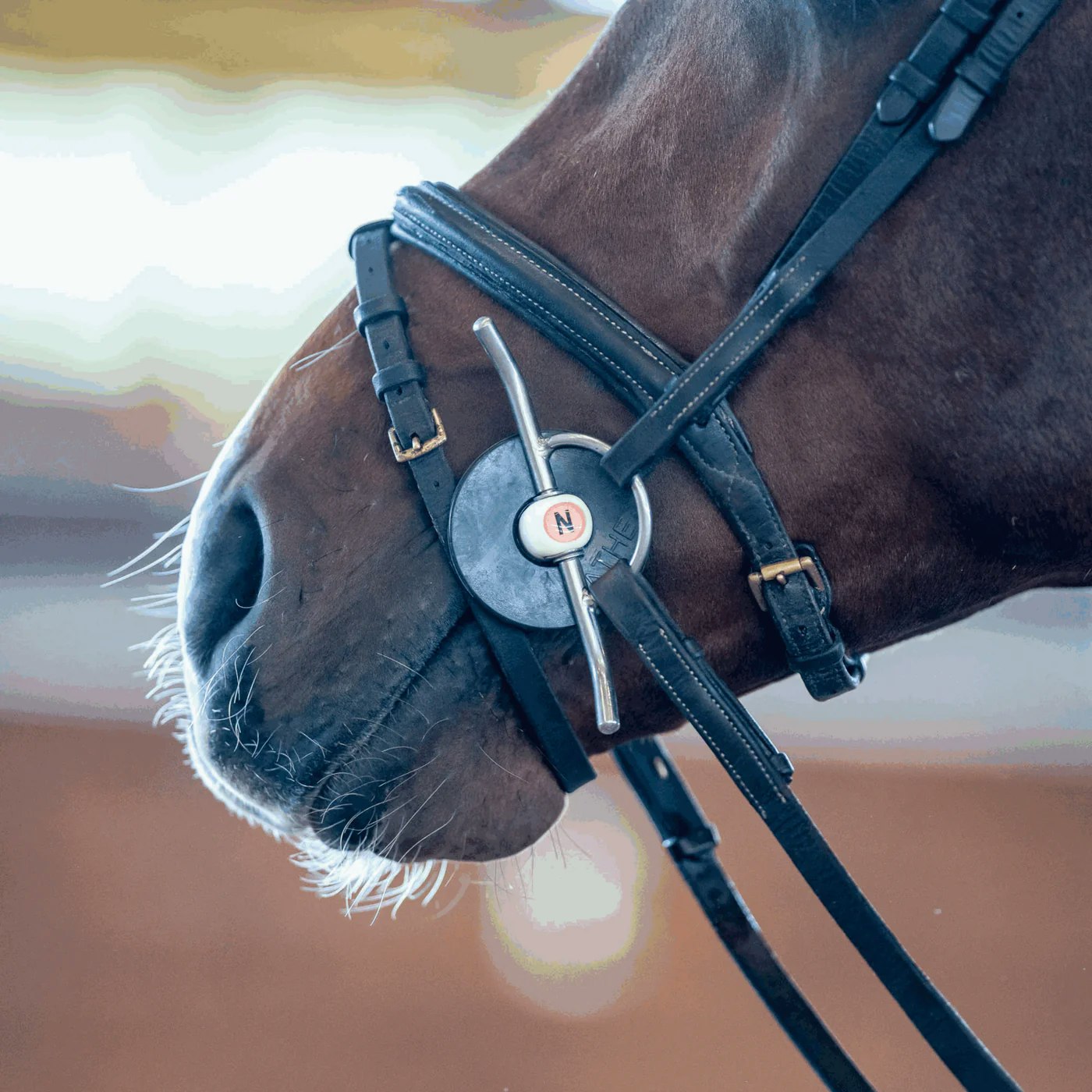 Nathe Full Cheek snaffle 20 mm with flexible Mullen Mouth