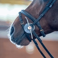 Nathe Full Cheek snaffle 20 mm with flexible Mullen Mouth