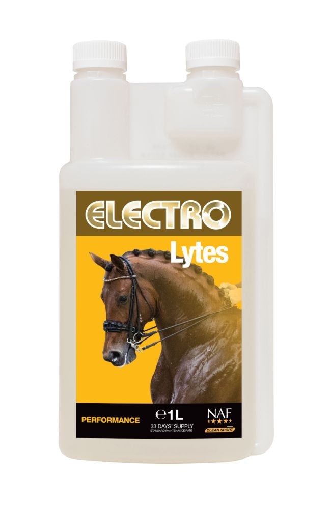 ELECTRO LYTES FLYTANDE