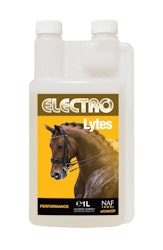 ELECTRO LYTES FLYTANDE