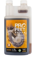 PROFEET, FLYTANDE
