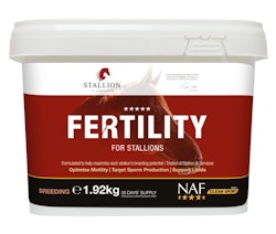 FERTILITY FOR STALLIONS