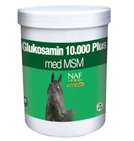 GLUKOSAMIN 10.000 PLUS MSM, PULVER