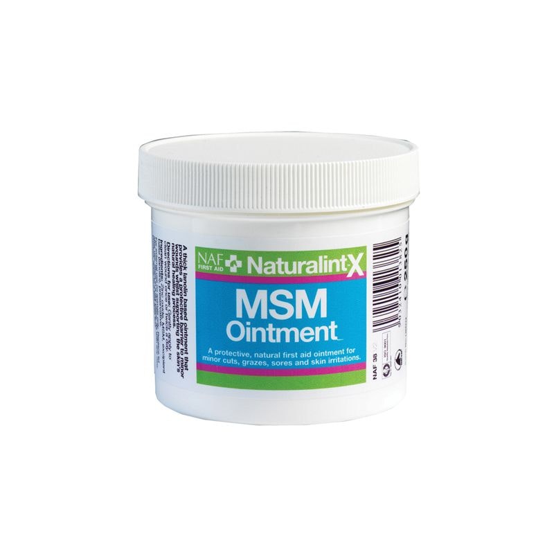NaturalintX MSM Salva 250g