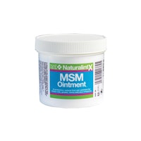 NaturalintX MSM Salva 250g