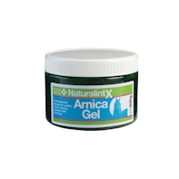 NaturalintX Arnika Gel 400g