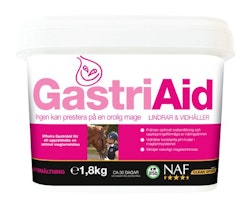 GASTRIAID, PULVER