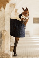 Kentucky Horsewear Stable Rug Comfort 100-300g