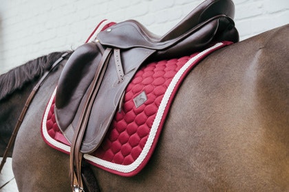 Kentucky Horsewear Saddle Pad Plaited Cord Dressage