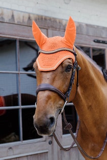 Kentucky Fly Veil Wellington Diamond Rope