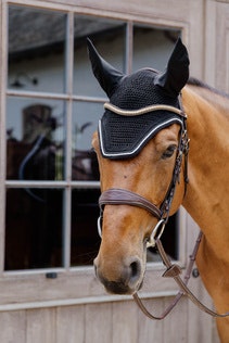 Kentucky Fly Veil Wellington Diamond Rope