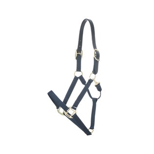 Kentucky Nylon Halter Breakaway