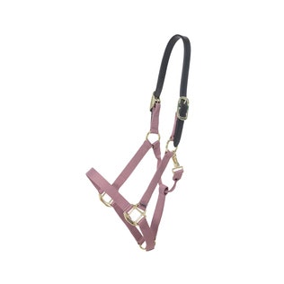 Kentucky Nylon Halter Breakaway