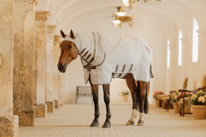 Kentucky Eczema Rug