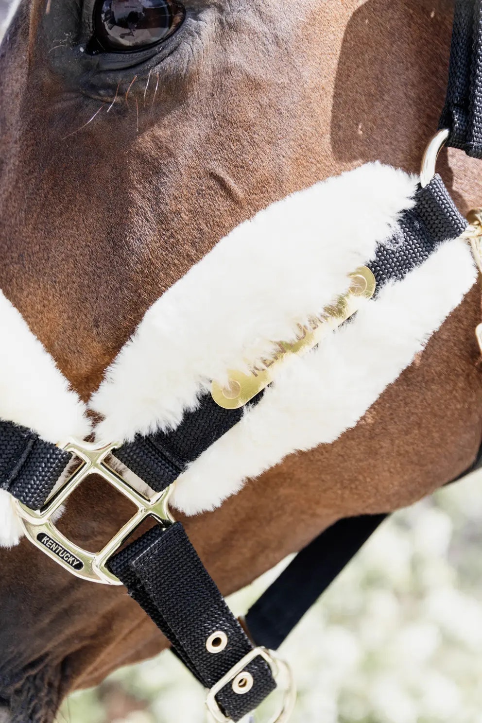 Kentucky Nylon Sheepskin Halter Soft