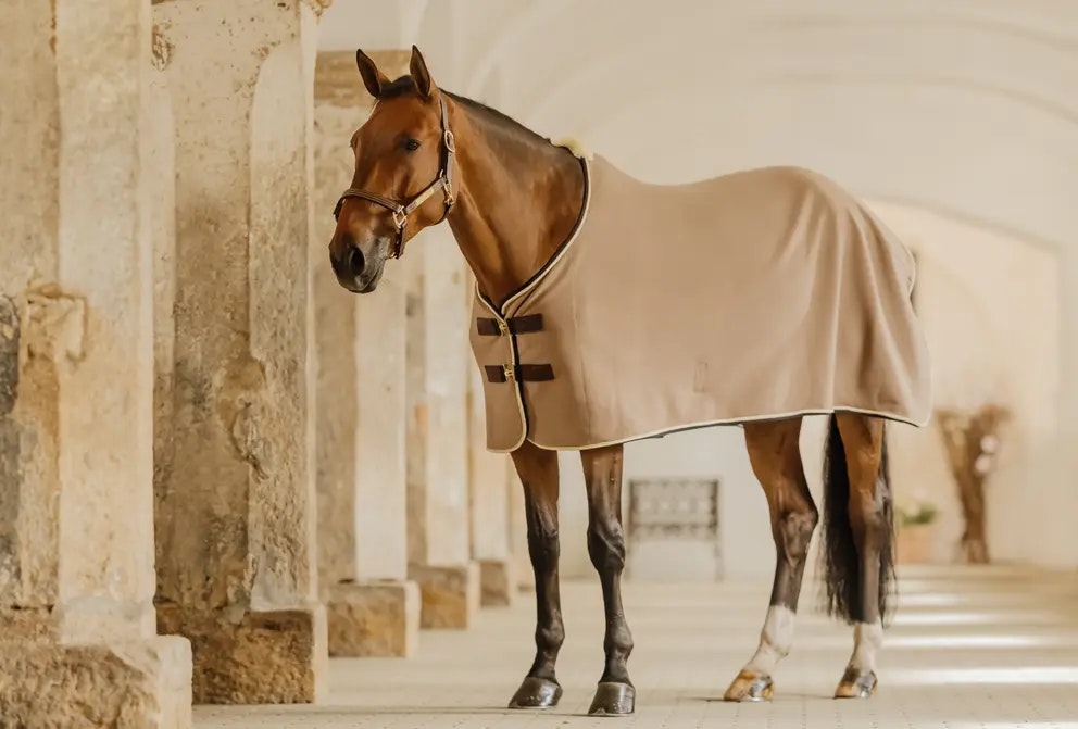 Kentucky Fleece Rug Show Vegan Wool