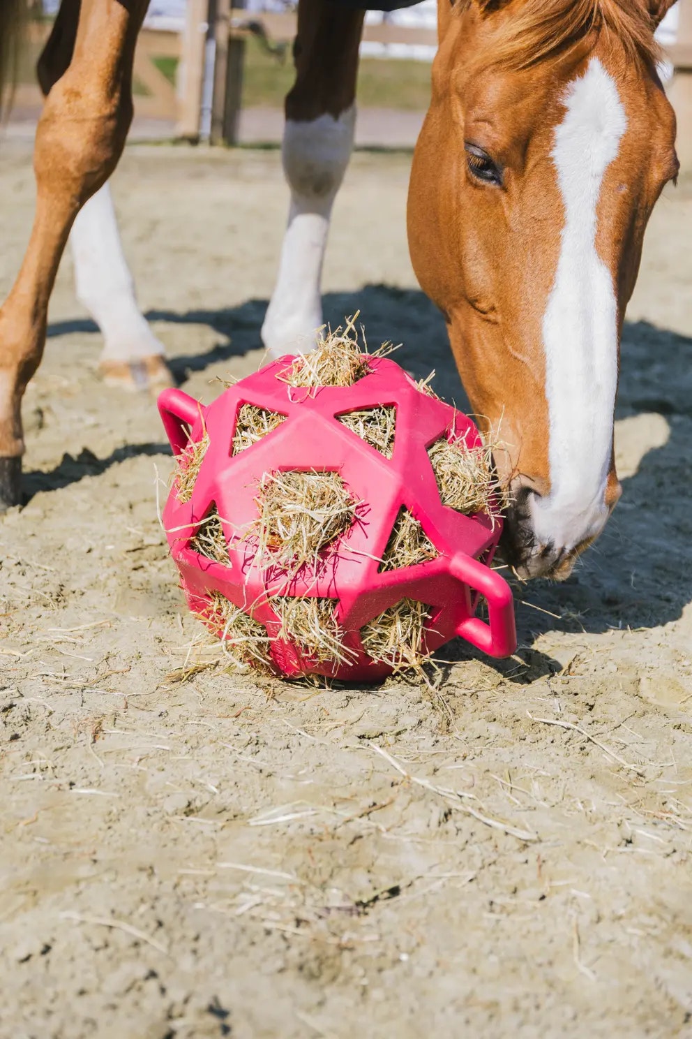 Kentucky Relax Horse Play & Hay Ball