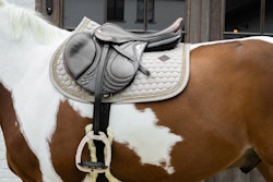Kentucky Horsewear Saddle Pad Glitter Band Jumping