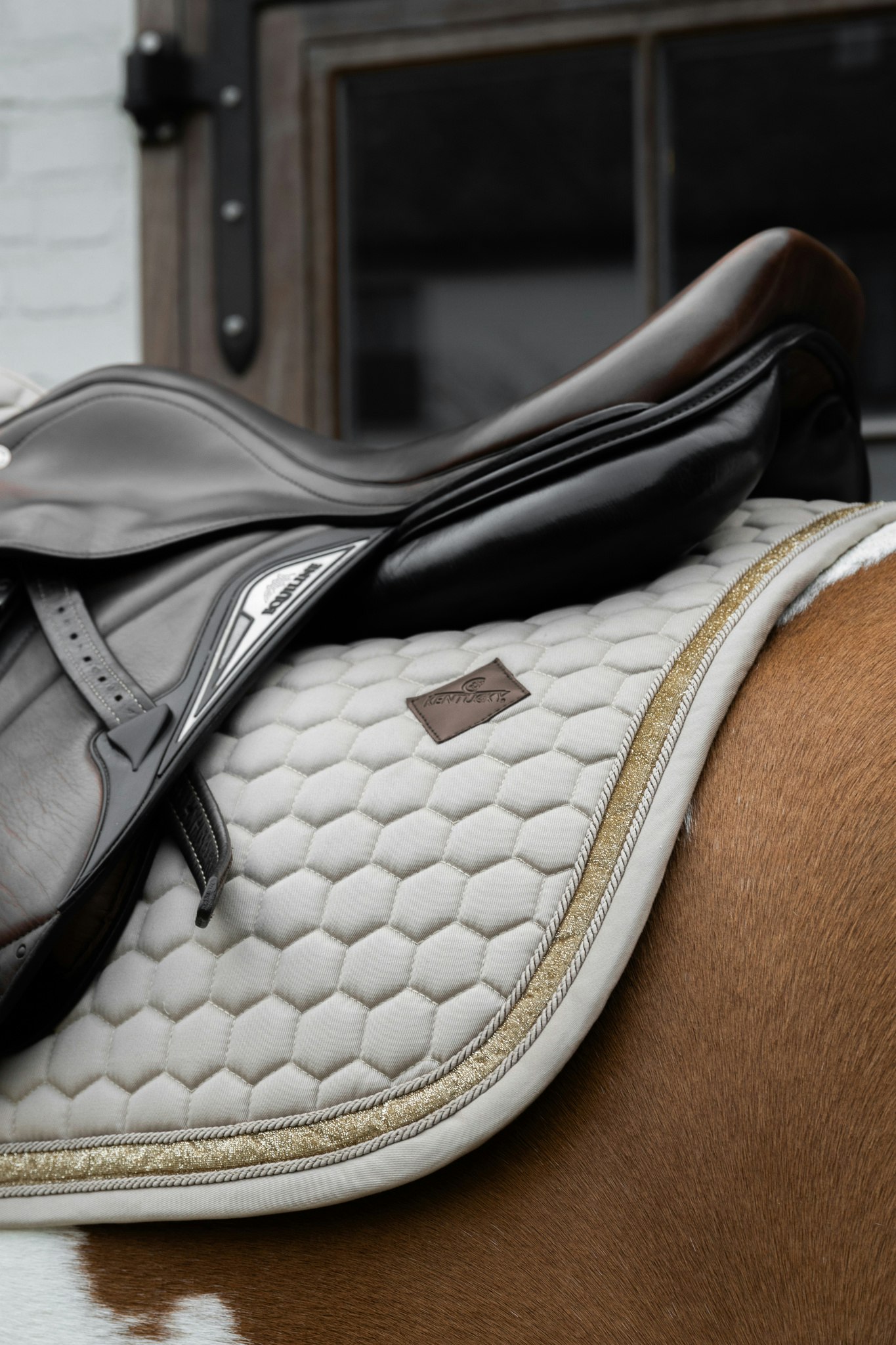 Kentucky Horsewear Saddle Pad Glitter Band Jumping