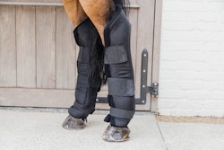 Kentucky Horsewear Stable boots PROtect long hind with hook protection