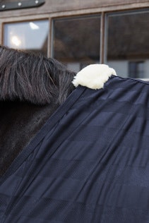 Kentucky Horsewear Light Striped Mesh Fly Sheet