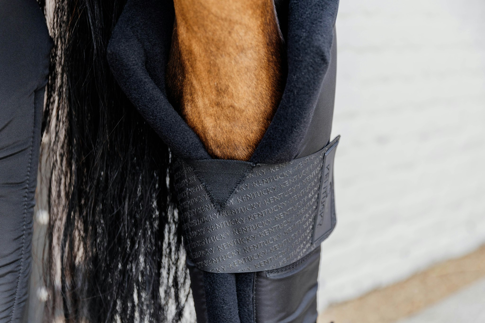 Kentucky Horsewear Stable boots PROtect long hind with hook protection