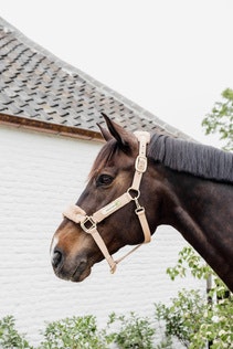 Kentucky Horsewear Teddy Fleece Halter