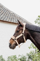 Kentucky Horsewear Teddy Fleece Halter