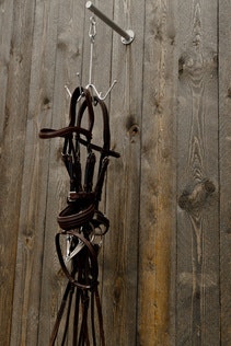 Grooming Deluxe Bridle Hook 4 prong with wall attachment SILVER