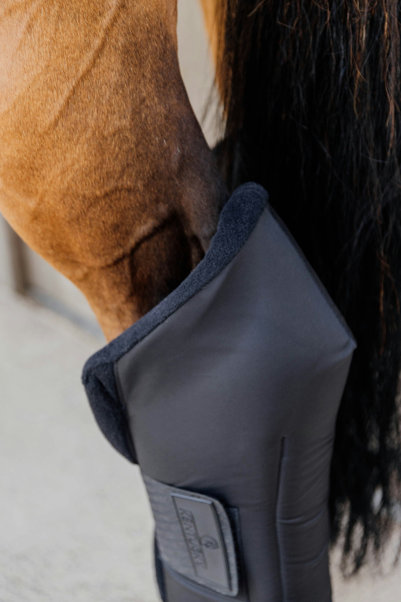 Kentucky Horsewear Stable boots PROtect long hind with hook protection