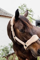 Kentucky Horsewear Teddy Fleece Halter