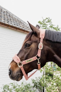 Kentucky Horsewear Teddy Fleece Halter