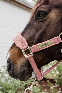 Kentucky Horsewear Teddy Fleece Halter