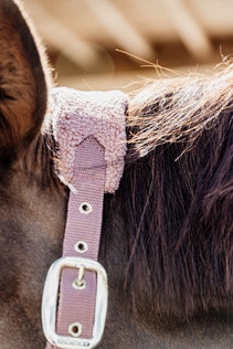 Kentucky Horsewear Teddy Fleece Halter