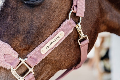 Kentucky Horsewear Teddy Fleece Halter