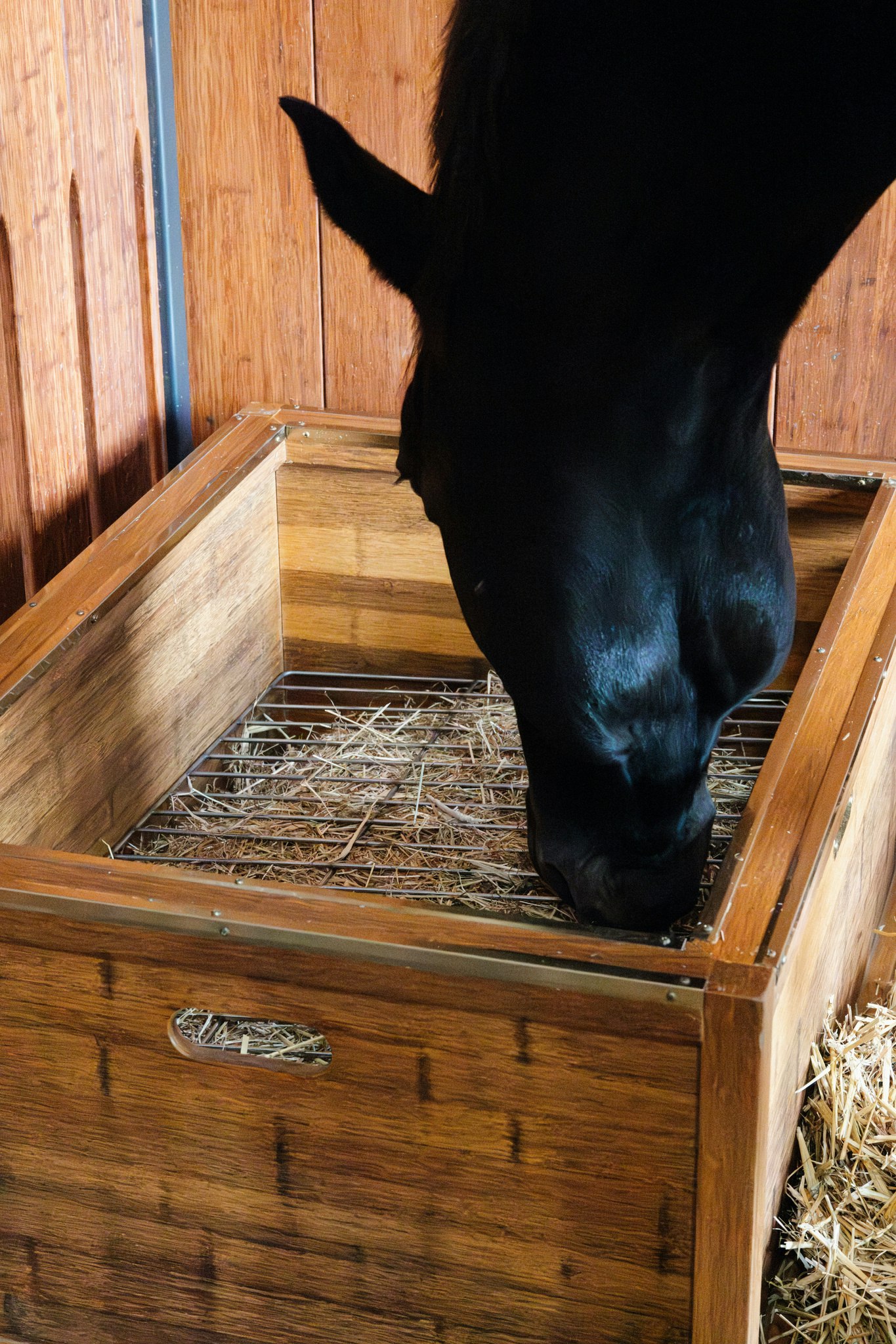 Grooming Deluxe Bamboo Slow Feeder