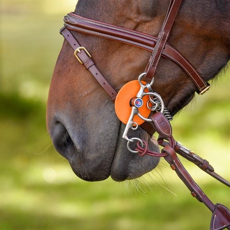 EQ Pelhamdelta med nylon